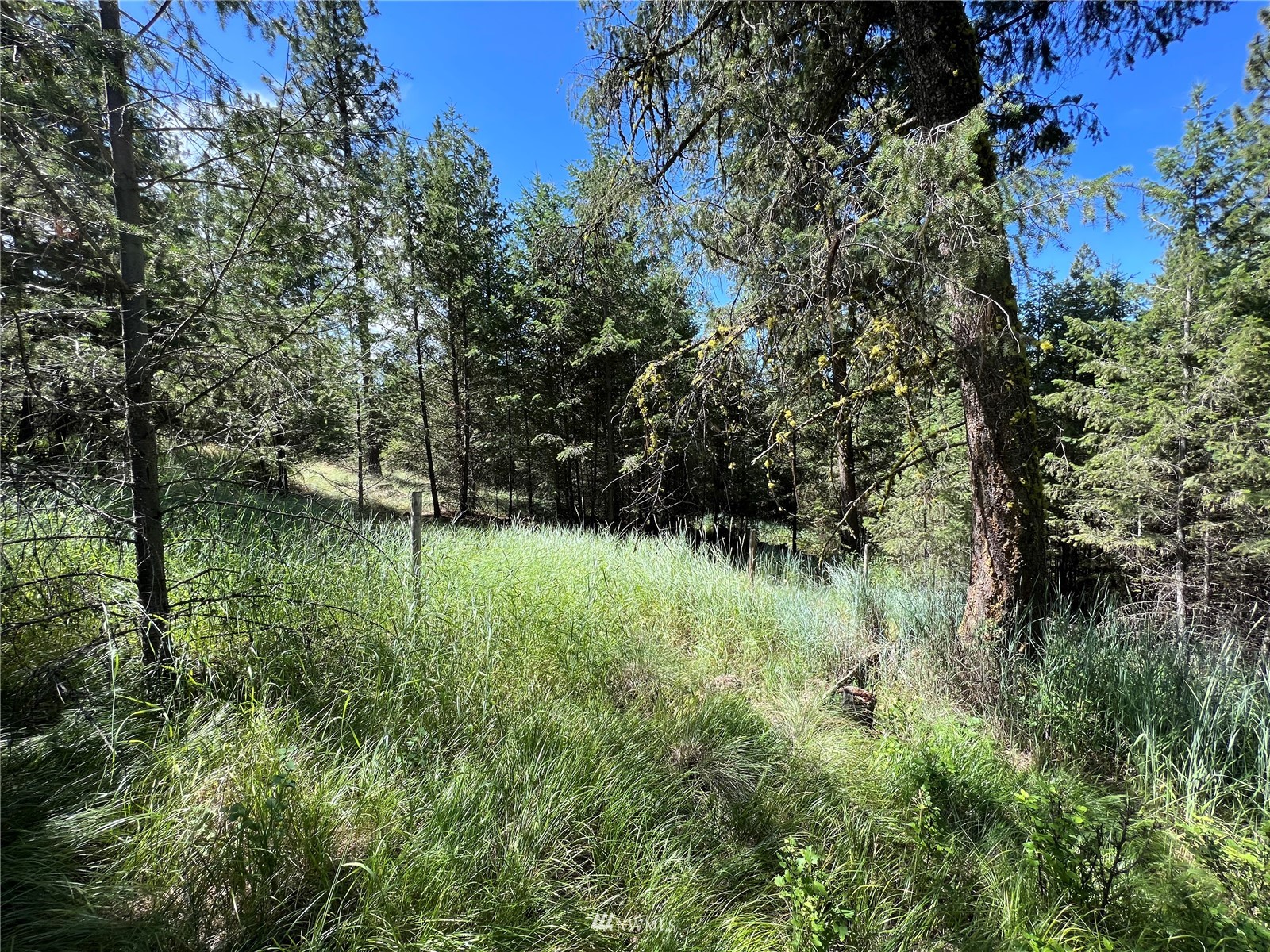 14 Grizzly Loop Road Republic, WA 99166 - Photo 13 of 28 a view of outdoor space and yard