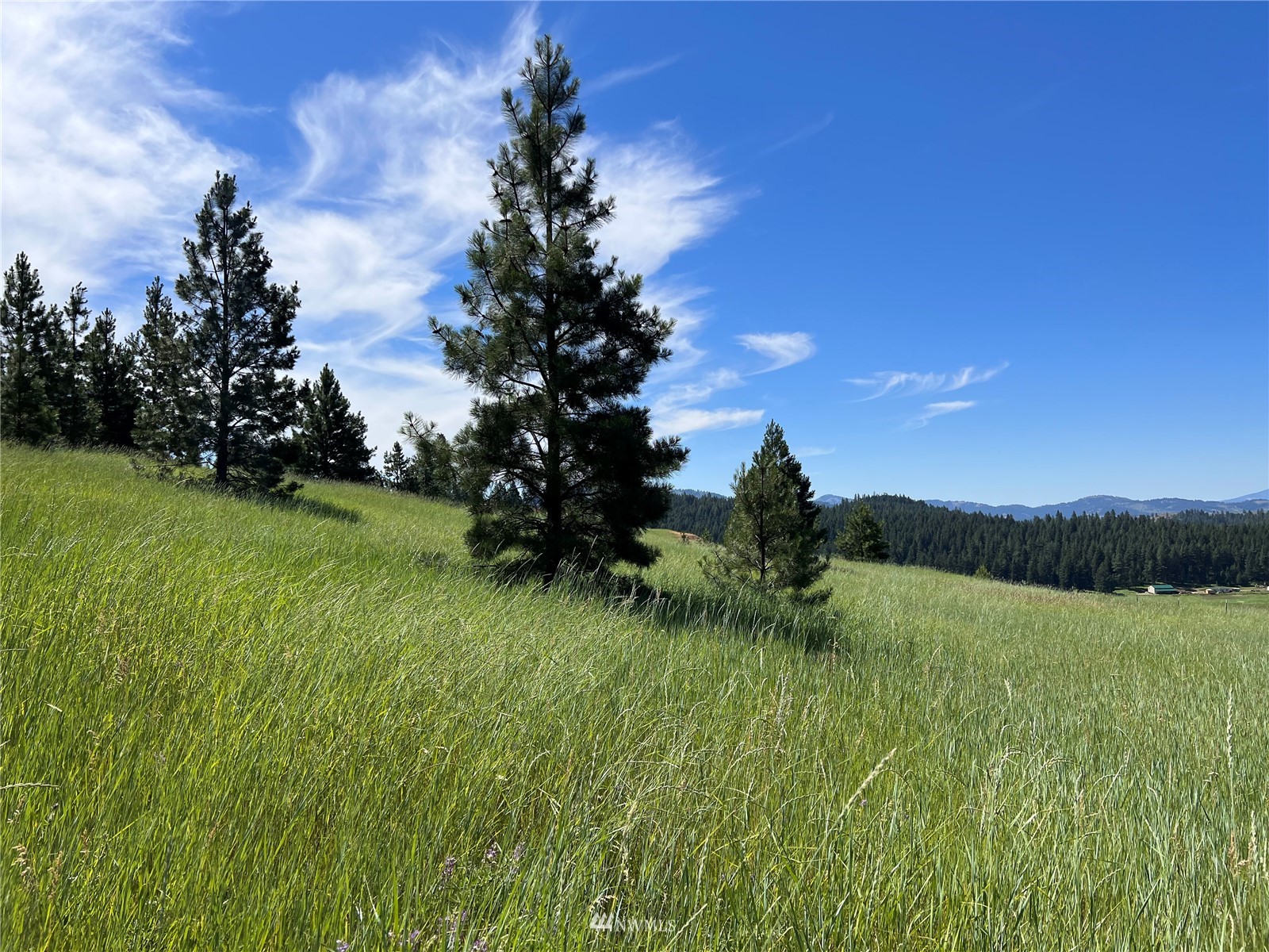 14 Grizzly Loop Road Republic, WA 99166 - Photo 2 of 28 a view of lake background with mountain