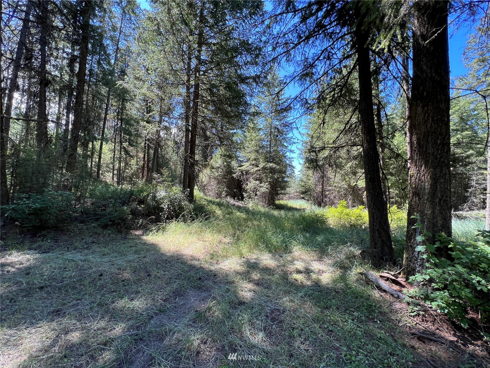 14 Grizzly Loop Road Republic, WA 99166 - Photo 27 of 28 a view of back yard