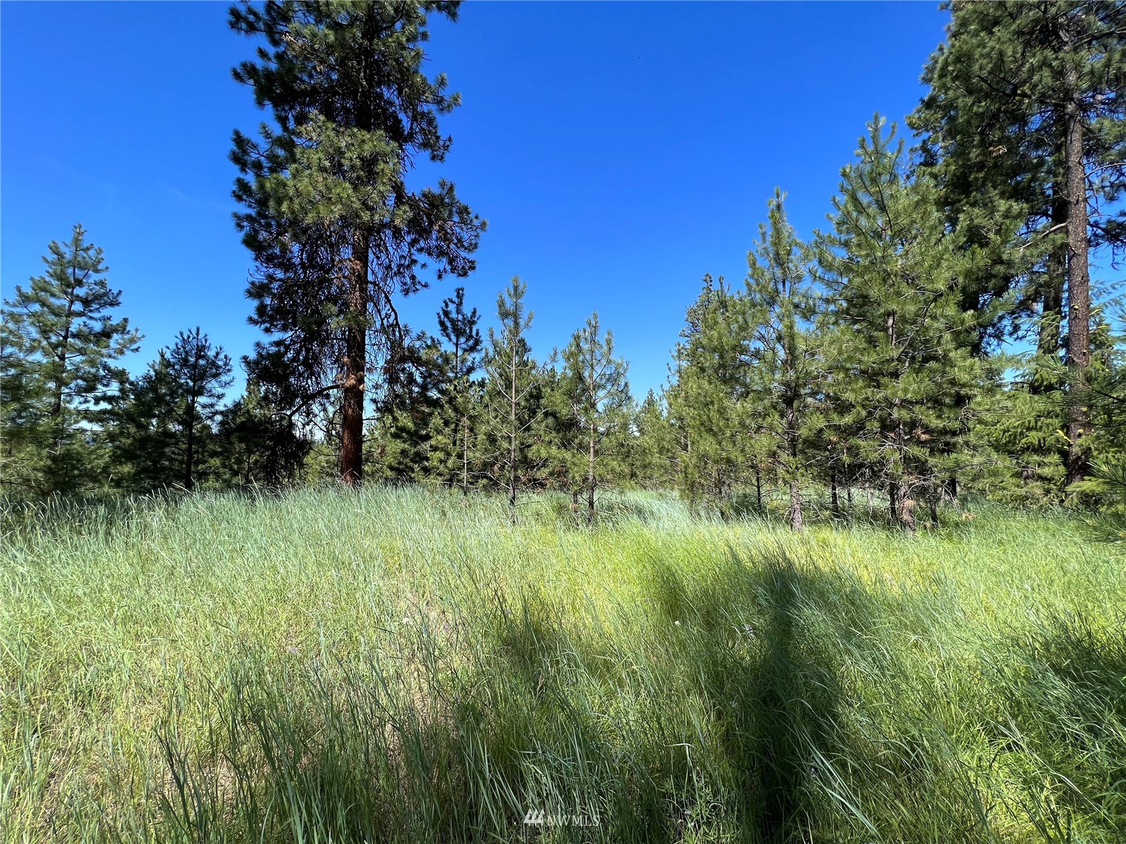 14 Grizzly Loop Road Republic, WA 99166 - Photo 5 of 28 a view of a garden