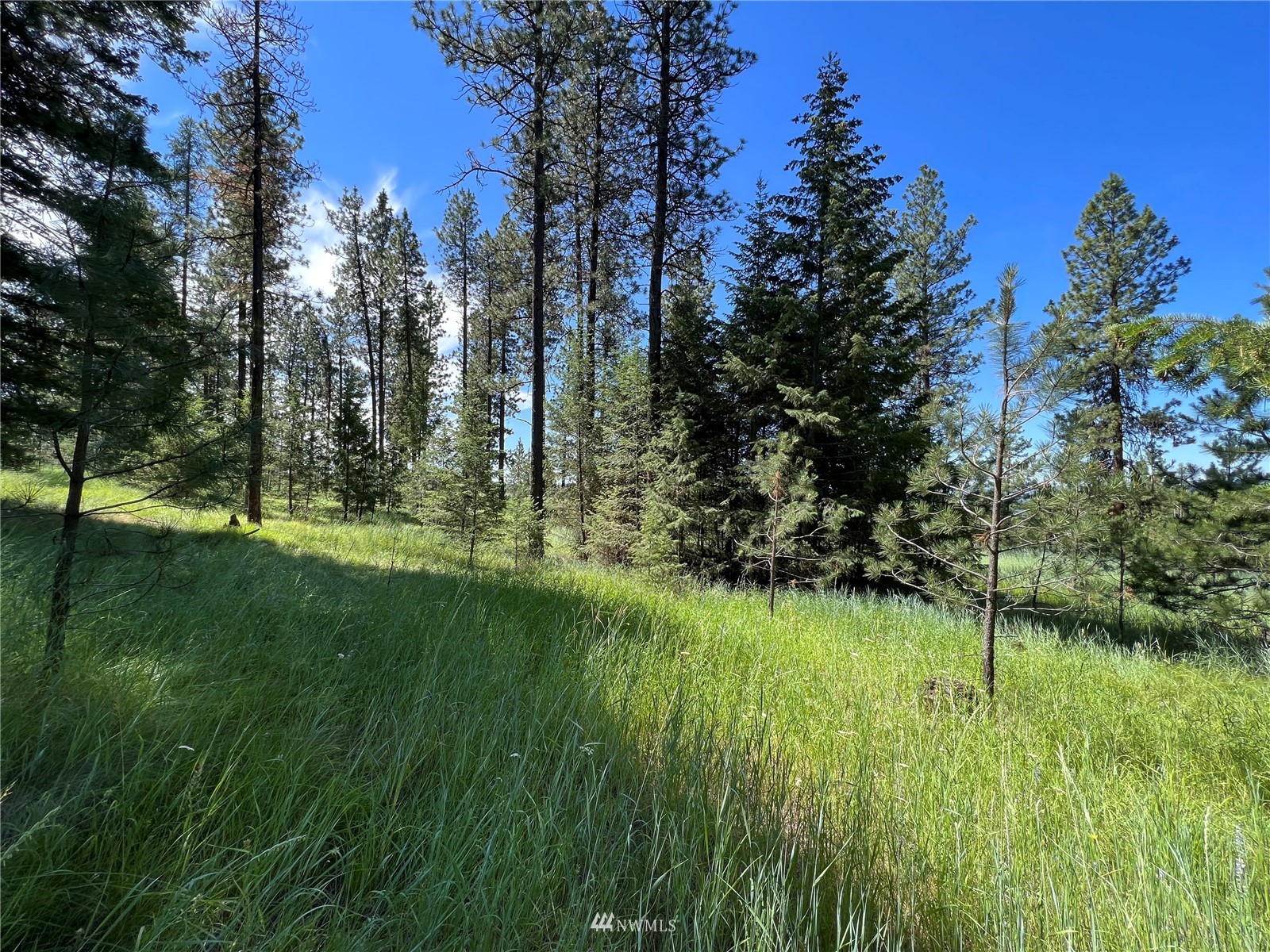 14 Grizzly Loop Road Republic, WA 99166 - Photo 6 of 28 a view of a garden
