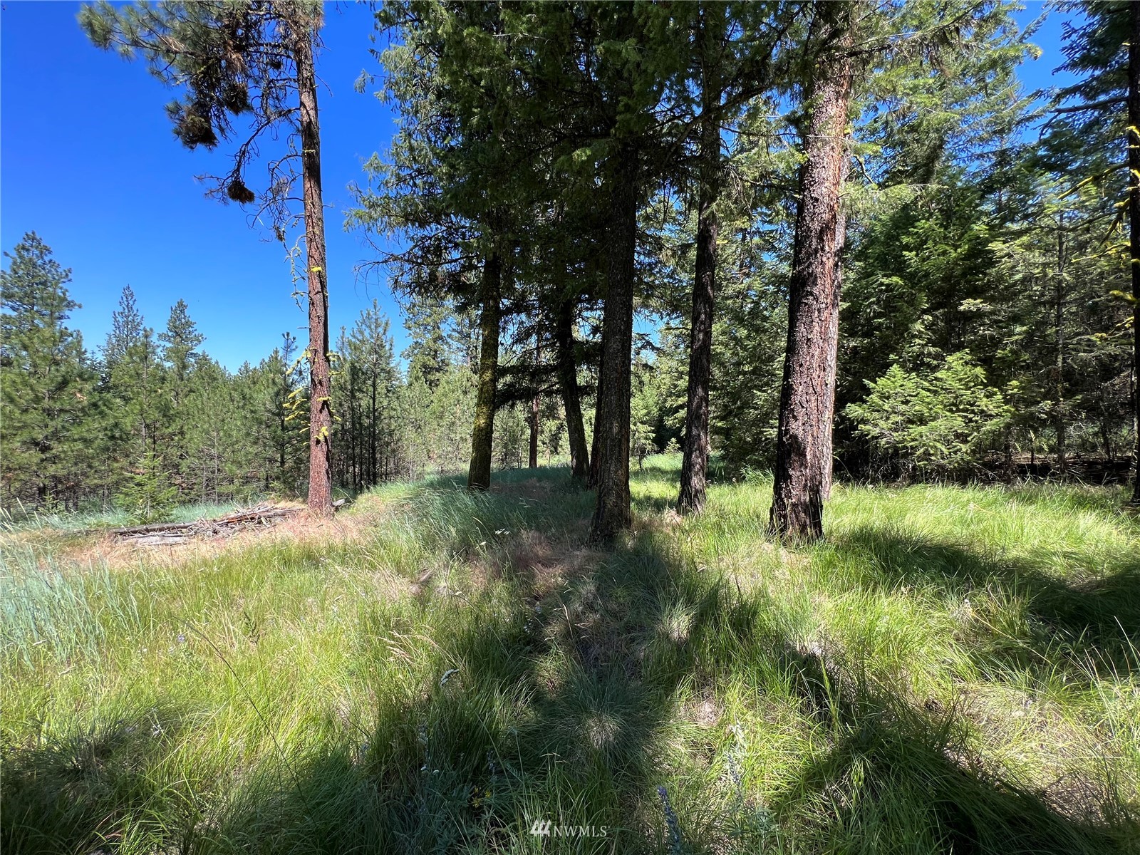 14 Grizzly Loop Road Republic, WA 99166 - Photo 8 of 28 a view of backyard with green space