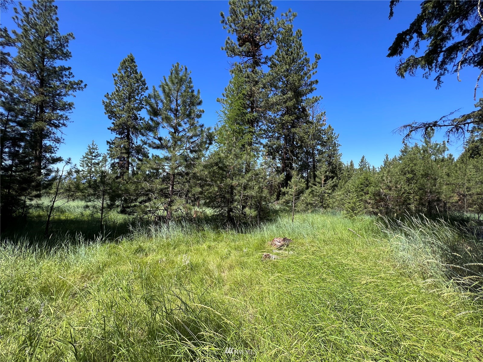 14 Grizzly Loop Road Republic, WA 99166 - Photo 9 of 28 a backyard of a house with lots of green space and fountain