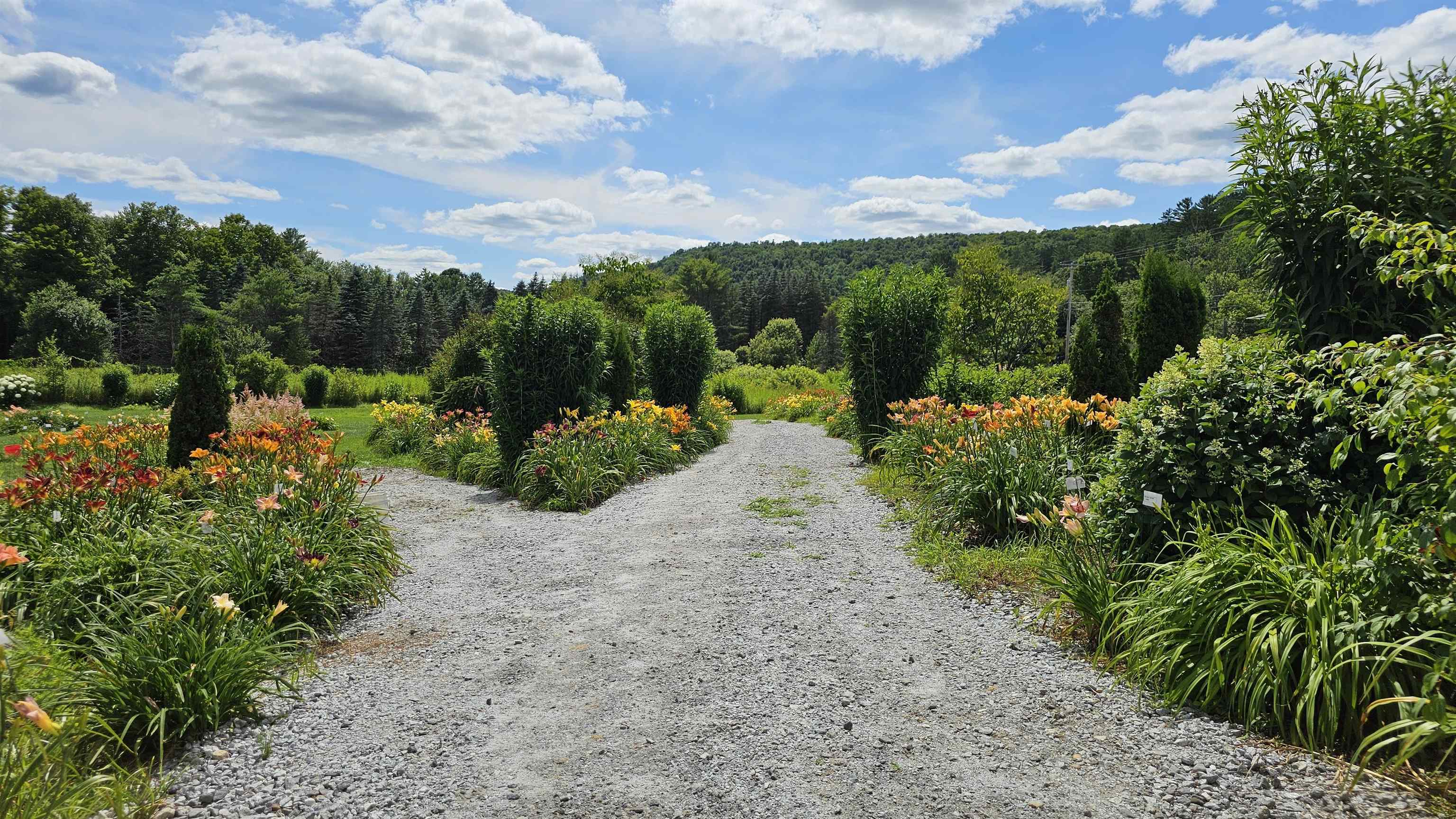 2263 Highway 2 Marshfield, VT 05658 - Photo 11 of 60