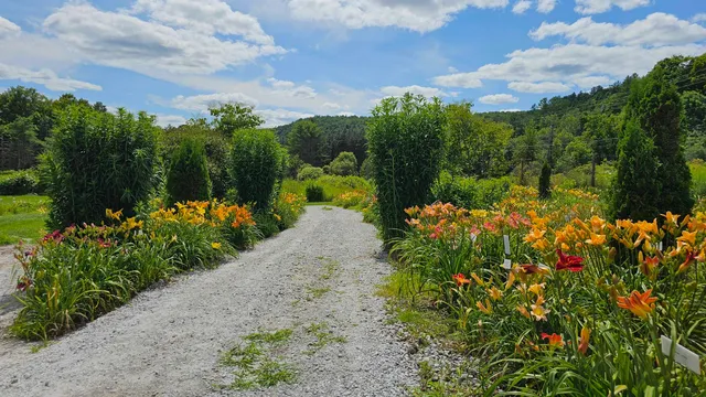 $450,000 | 2263 Highway 2, Marshfield, VT 05658