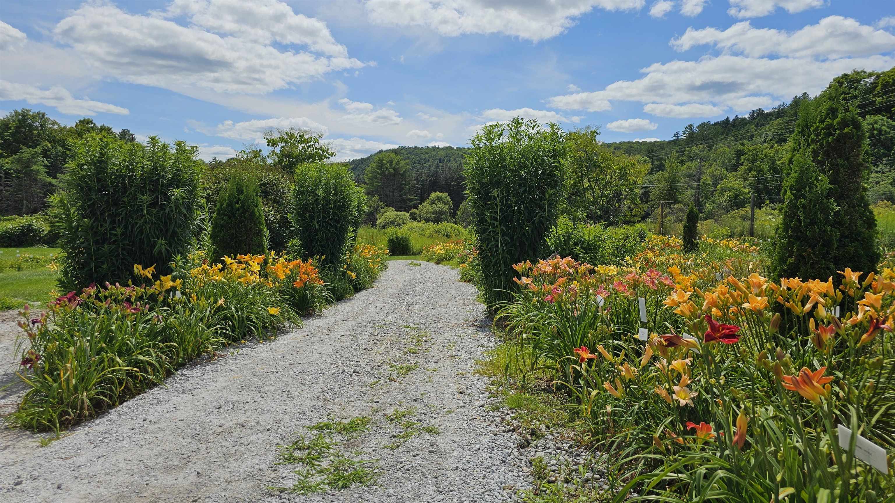 2263 Highway 2 Marshfield, VT 05658 - Photo 12 of 60