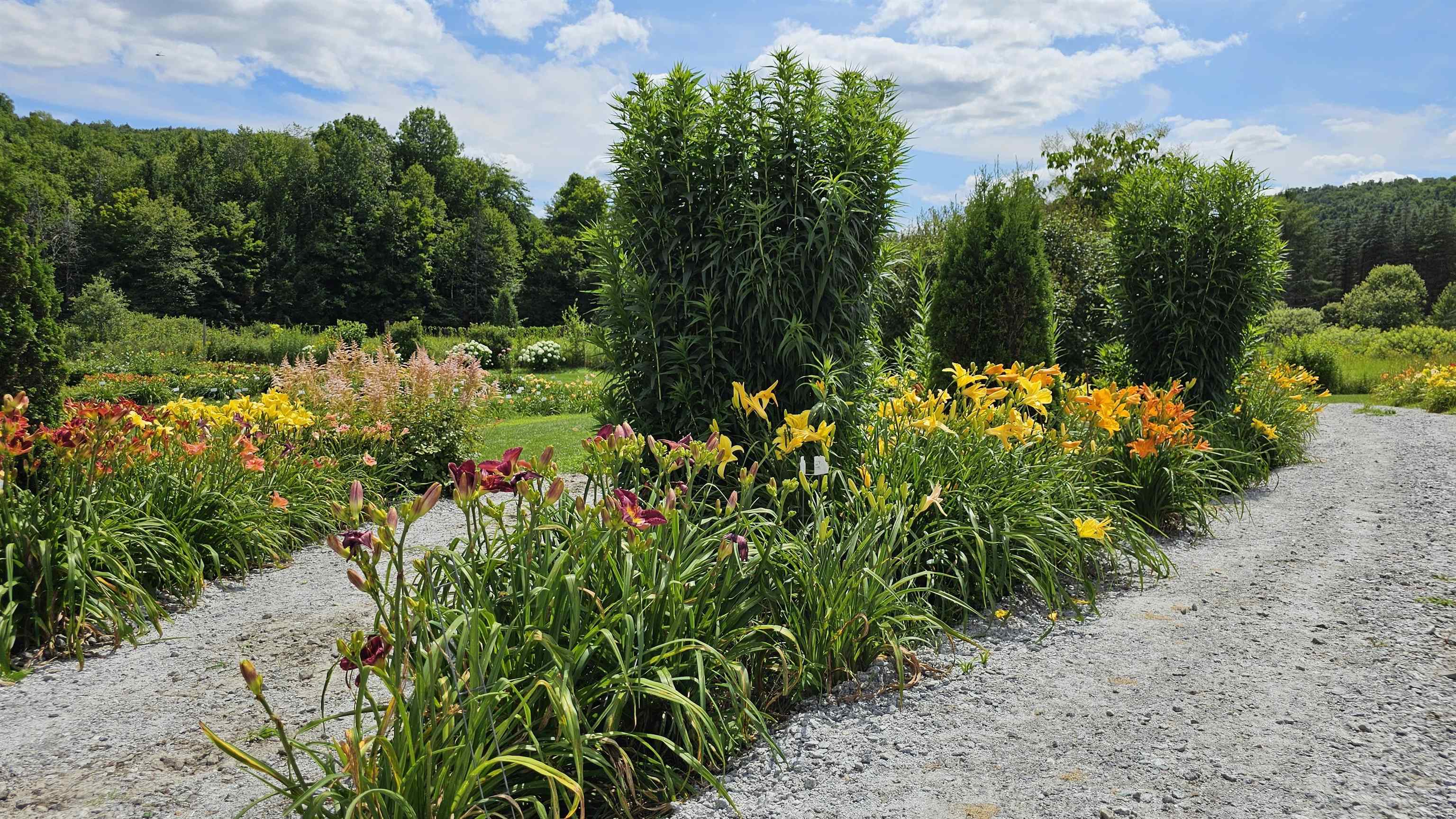 2263 Highway 2 Marshfield, VT 05658 - Photo 13 of 60