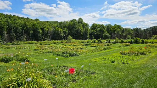 $450,000 | 2263 Highway 2, Marshfield, VT 05658