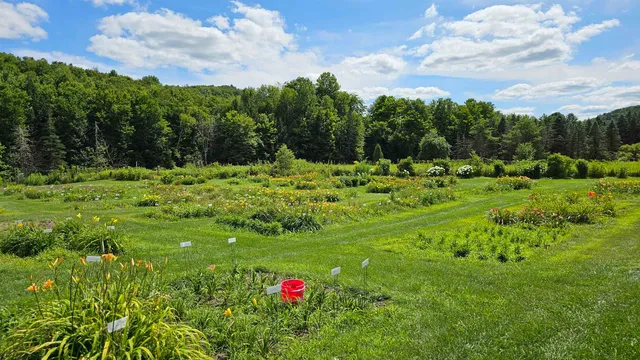 $450,000 | 2263 Highway 2, Marshfield, VT 05658