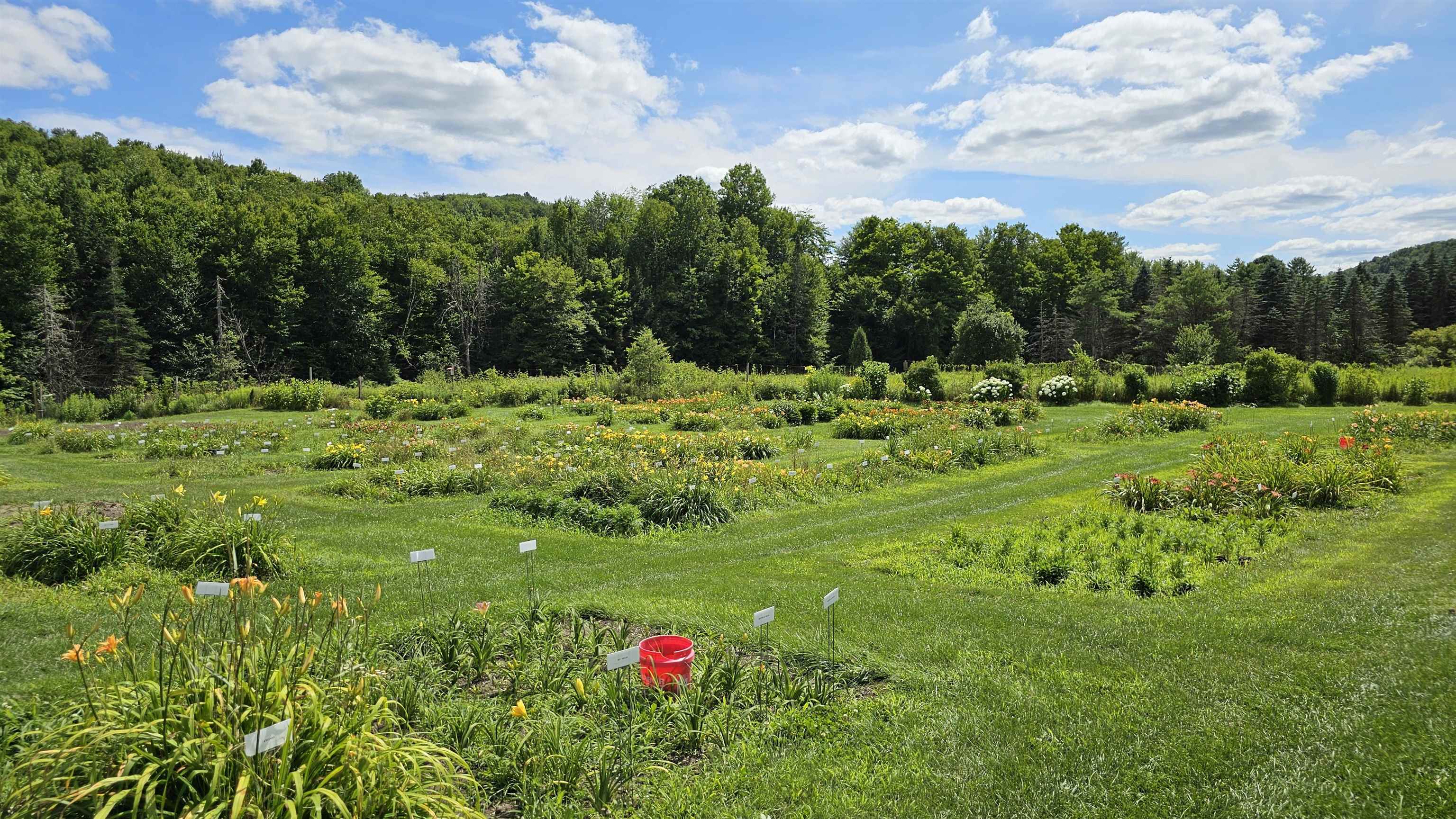 2263 Highway 2 Marshfield, VT 05658 - Photo 15 of 60