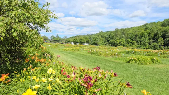 $450,000 | 2263 Highway 2, Marshfield, VT 05658