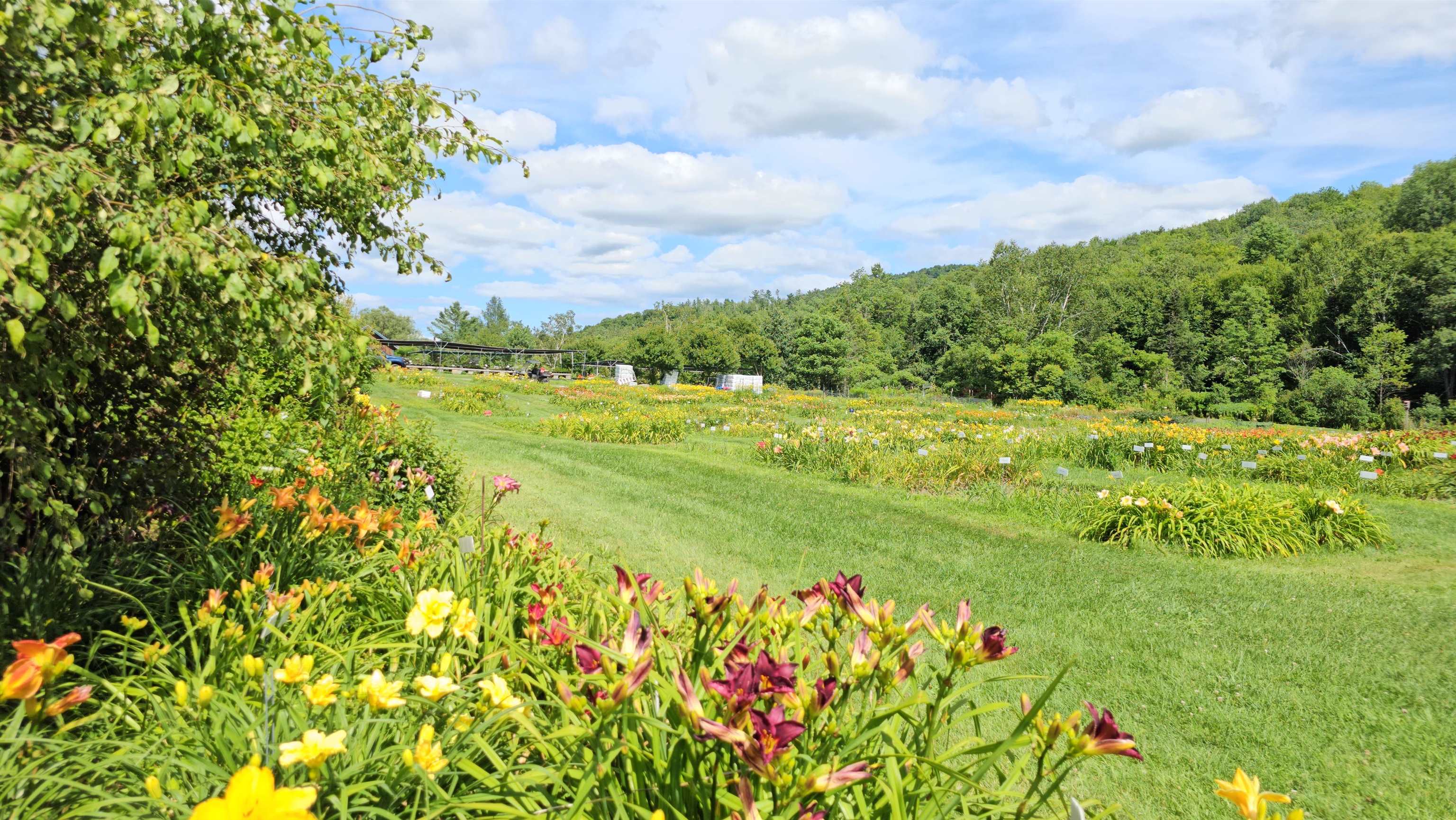 2263 Highway 2 Marshfield, VT 05658 - Photo 17 of 60