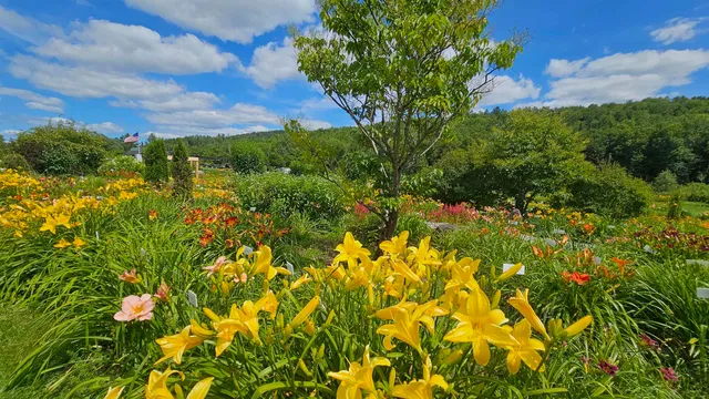 $450,000 | 2263 Highway 2, Marshfield, VT 05658