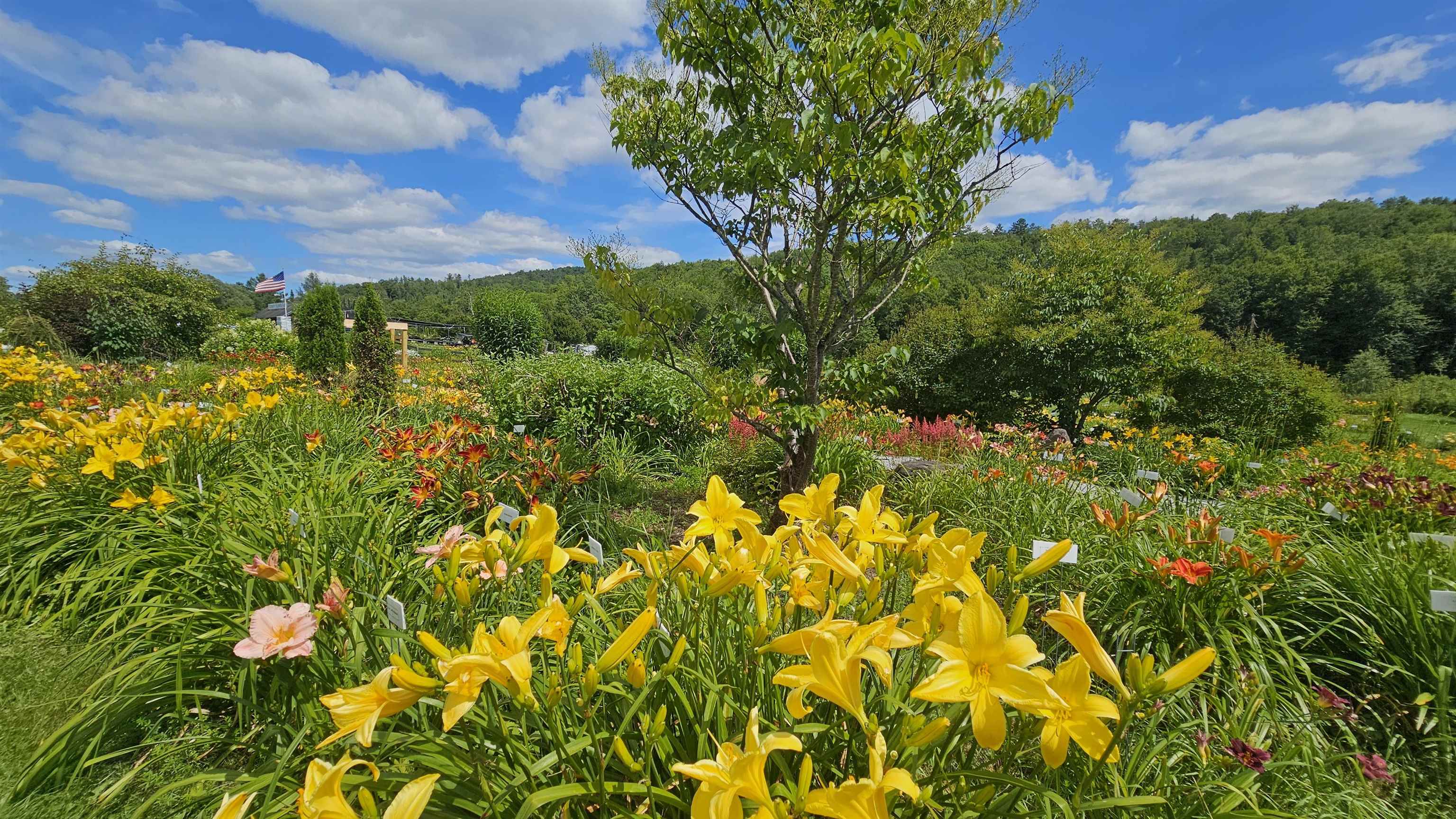 2263 Highway 2 Marshfield, VT 05658 - Photo 19 of 60