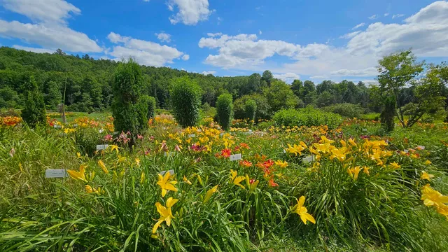 $450,000 | 2263 Highway 2, Marshfield, VT 05658