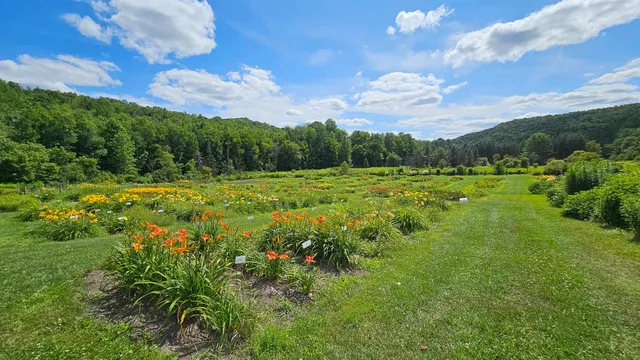 $450,000 | 2263 Highway 2, Marshfield, VT 05658