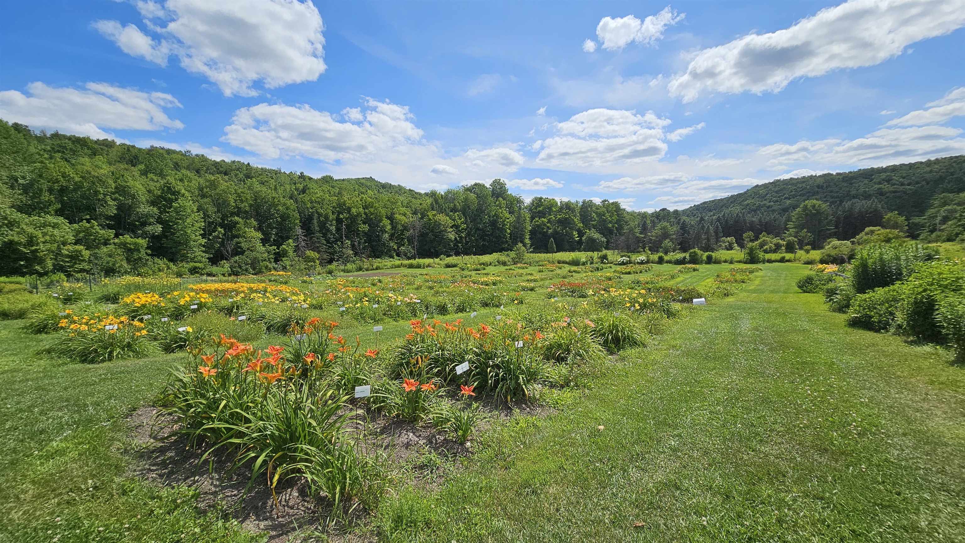 2263 Highway 2 Marshfield, VT 05658 - Photo 21 of 60