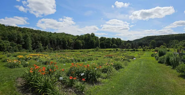 $450,000 | 2263 Highway 2, Marshfield, VT 05658