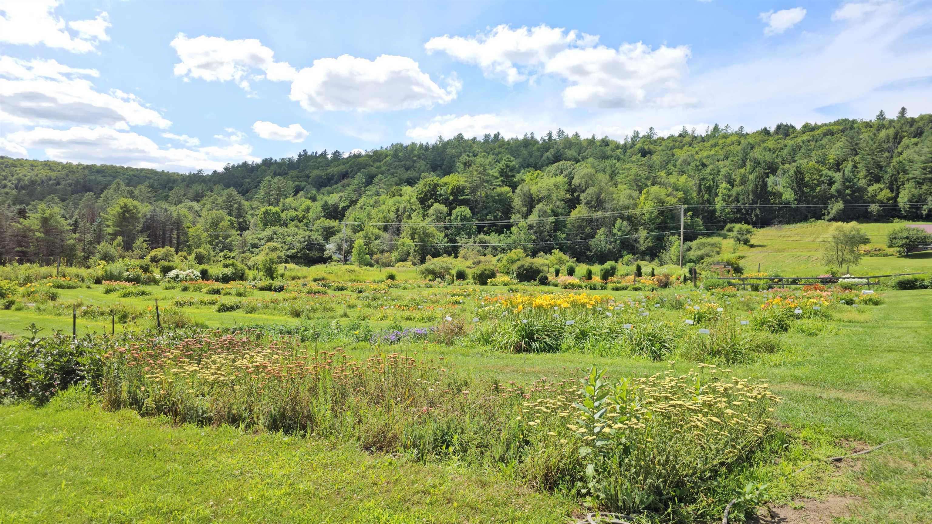2263 Highway 2 Marshfield, VT 05658 - Photo 23 of 60
