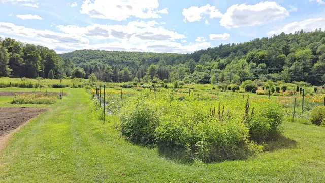 $450,000 | 2263 Highway 2, Marshfield, VT 05658
