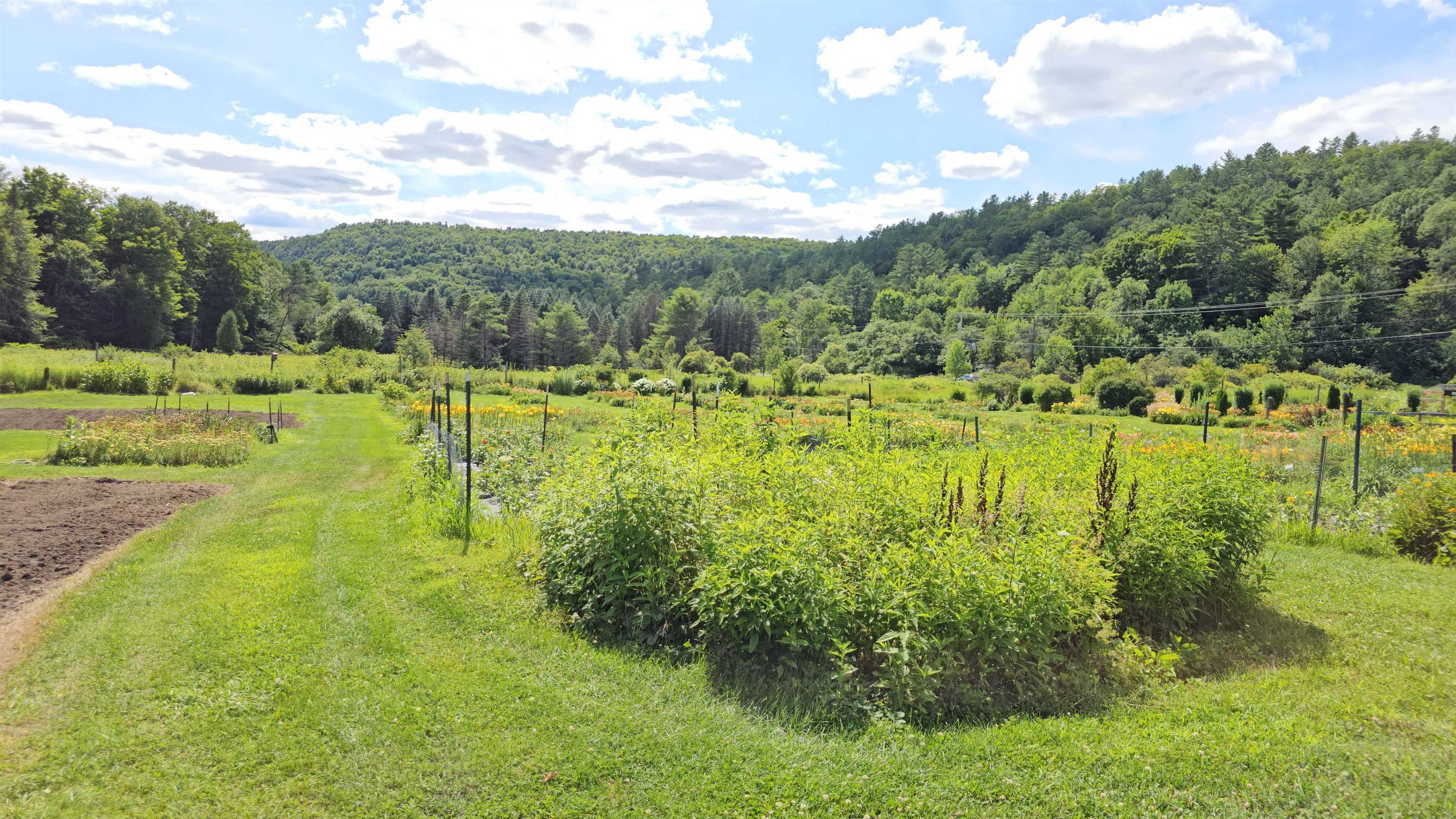 2263 Highway 2 Marshfield, VT 05658 - Photo 24 of 60