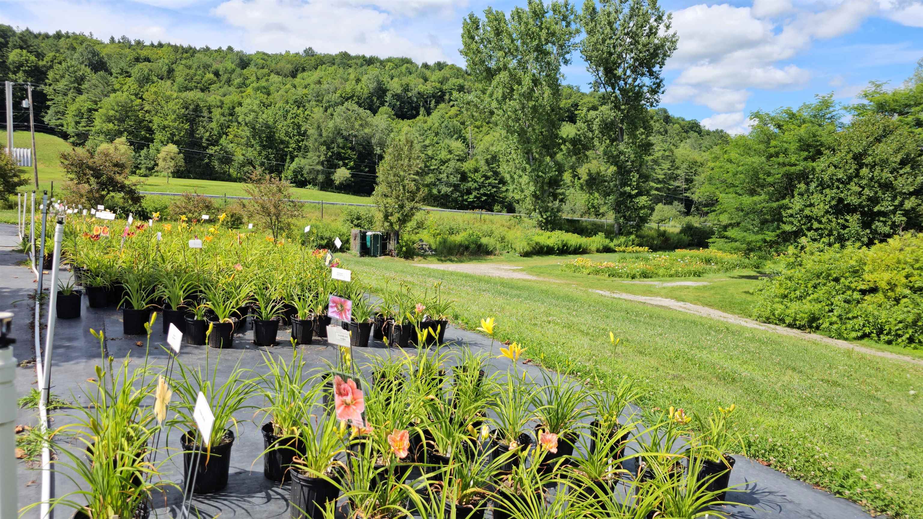2263 Highway 2 Marshfield, VT 05658 - Photo 25 of 60