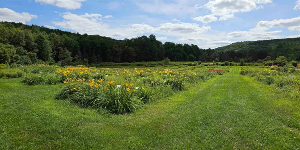 $450,000 | 2263 Highway 2, Marshfield, VT 05658