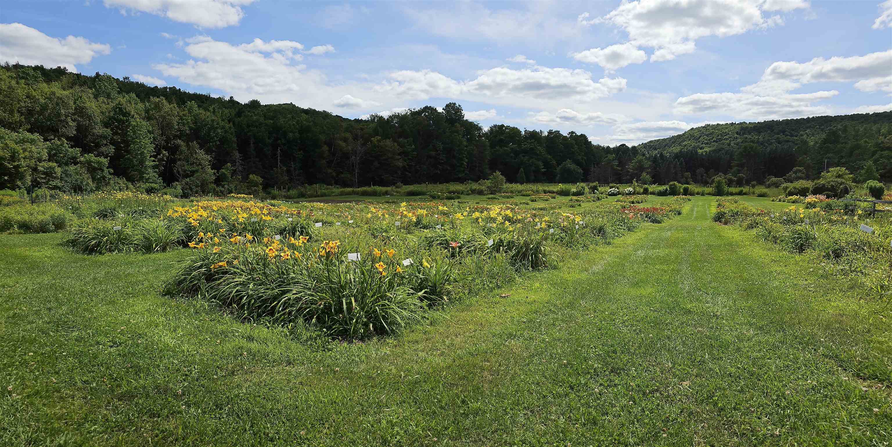2263 Highway 2 Marshfield, VT 05658 - Photo 26 of 60