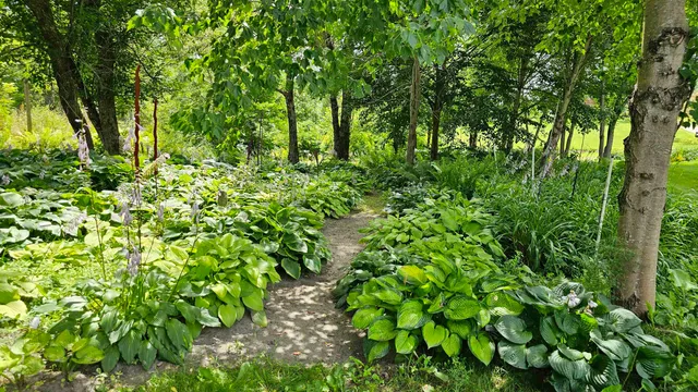 $450,000 | 2263 Highway 2, Marshfield, VT 05658