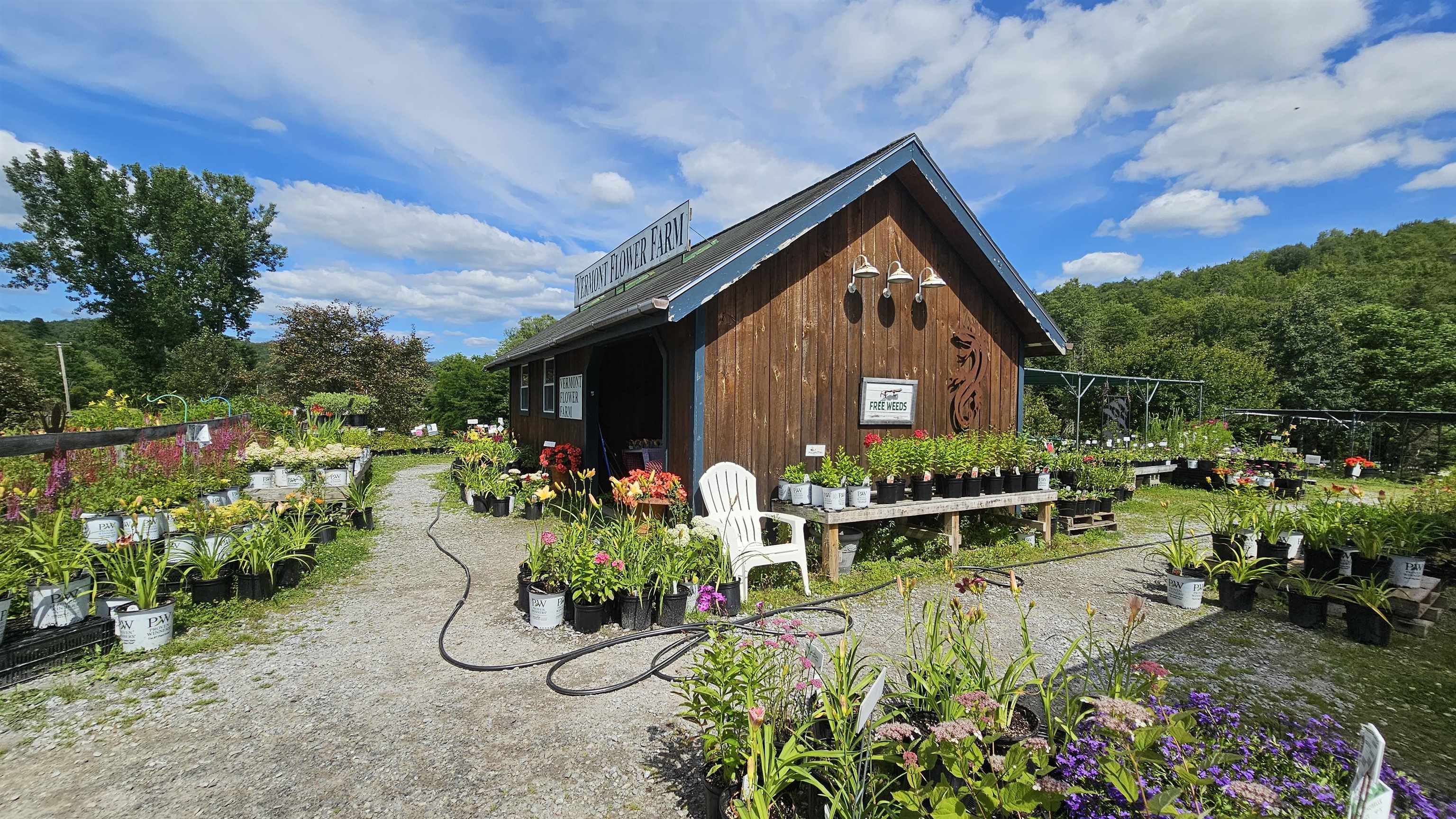 2263 Highway 2 Marshfield, VT 05658 - Photo 3 of 60