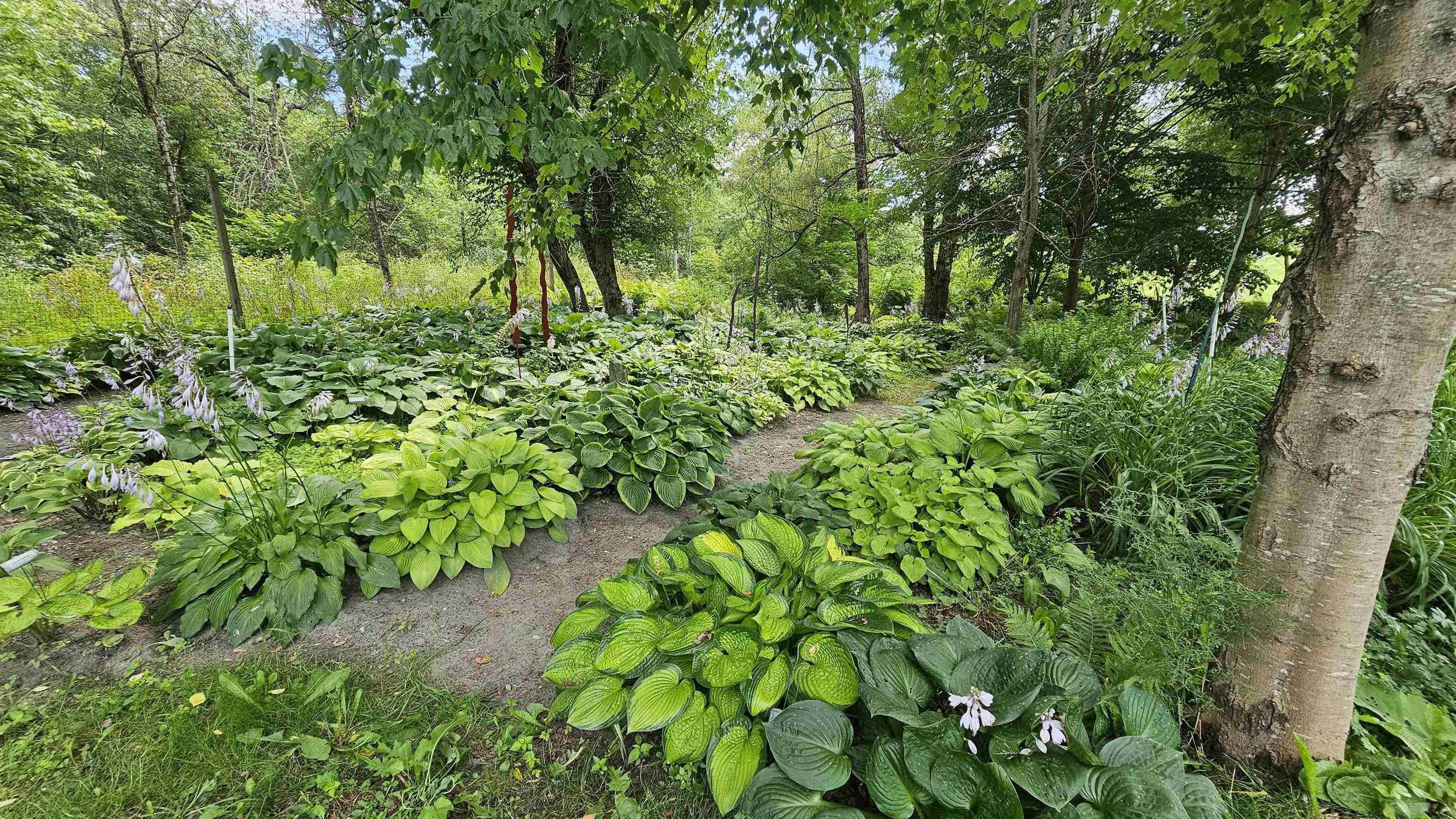 2263 Highway 2 Marshfield, VT 05658 - Photo 31 of 60