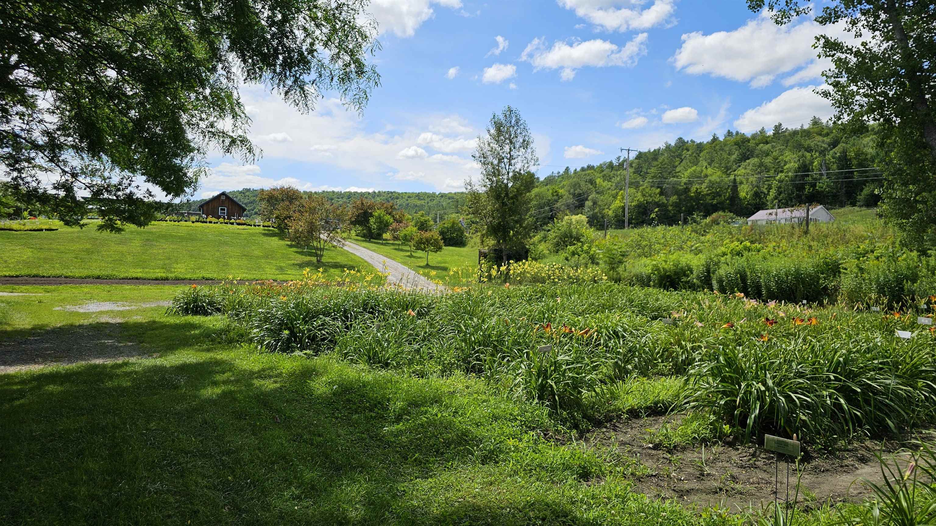 2263 Highway 2 Marshfield, VT 05658 - Photo 35 of 60