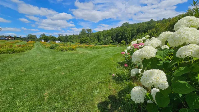 $450,000 | 2263 Highway 2, Marshfield, VT 05658