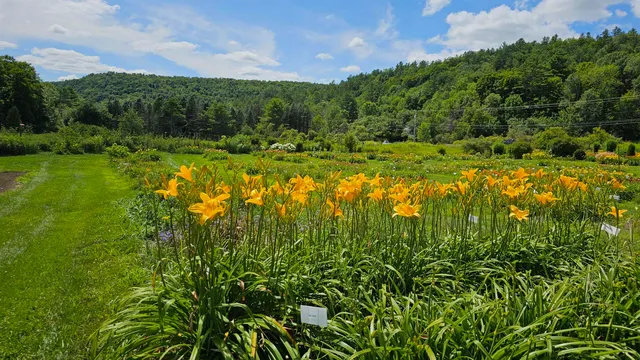 $450,000 | 2263 Highway 2, Marshfield, VT 05658