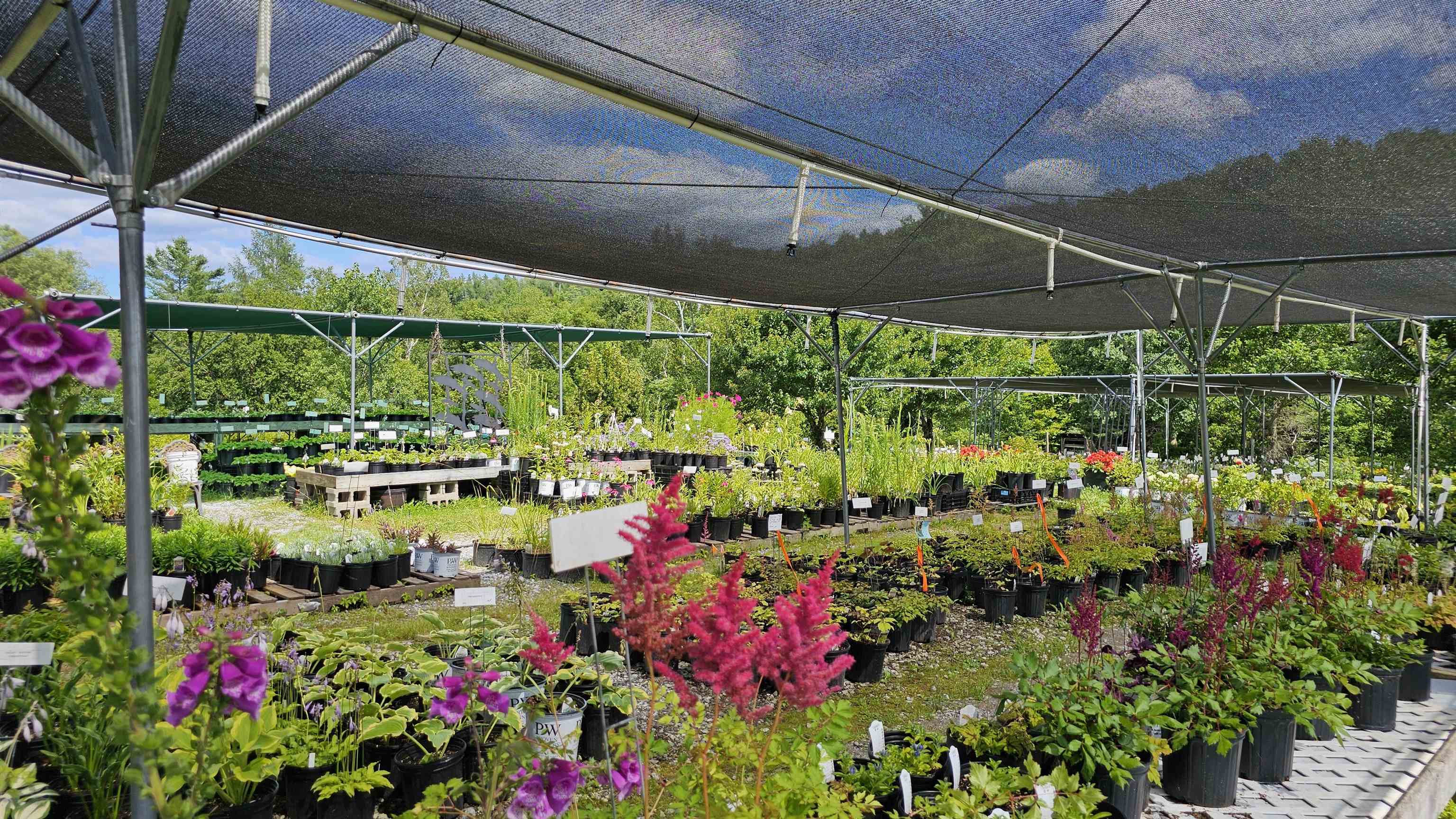 2263 Highway 2 Marshfield, VT 05658 - Photo 4 of 60