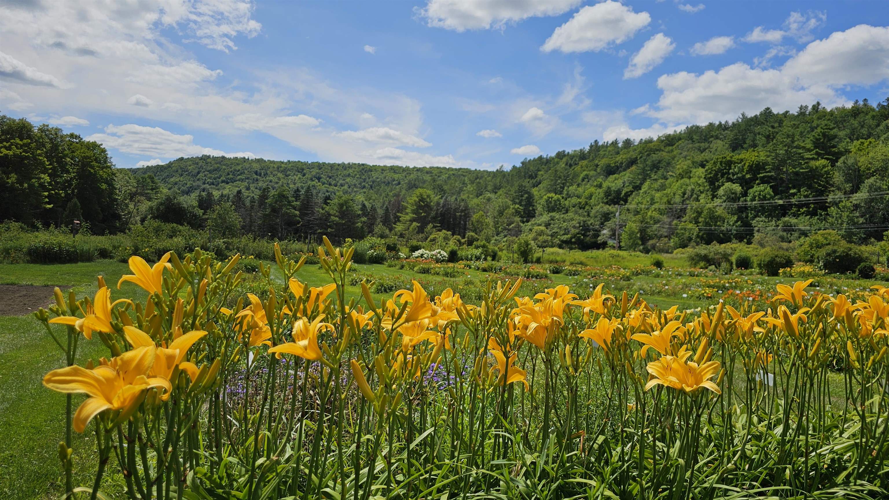 2263 Highway 2 Marshfield, VT 05658 - Photo 41 of 60