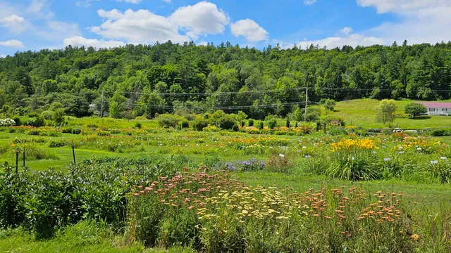 $450,000 | 2263 Highway 2, Marshfield, VT 05658