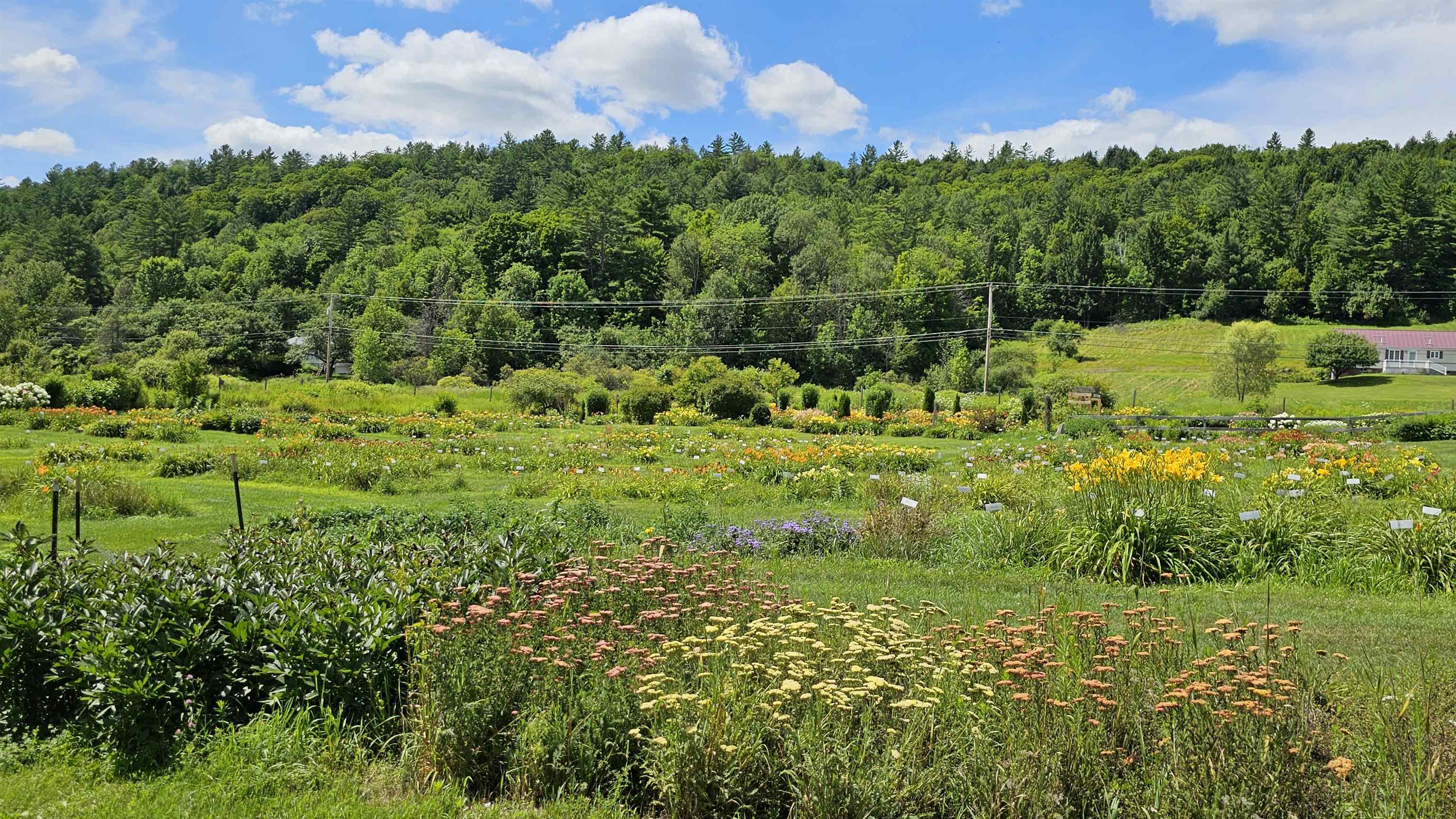 2263 Highway 2 Marshfield, VT 05658 - Photo 42 of 60
