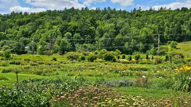 $450,000 | 2263 Highway 2, Marshfield, VT 05658