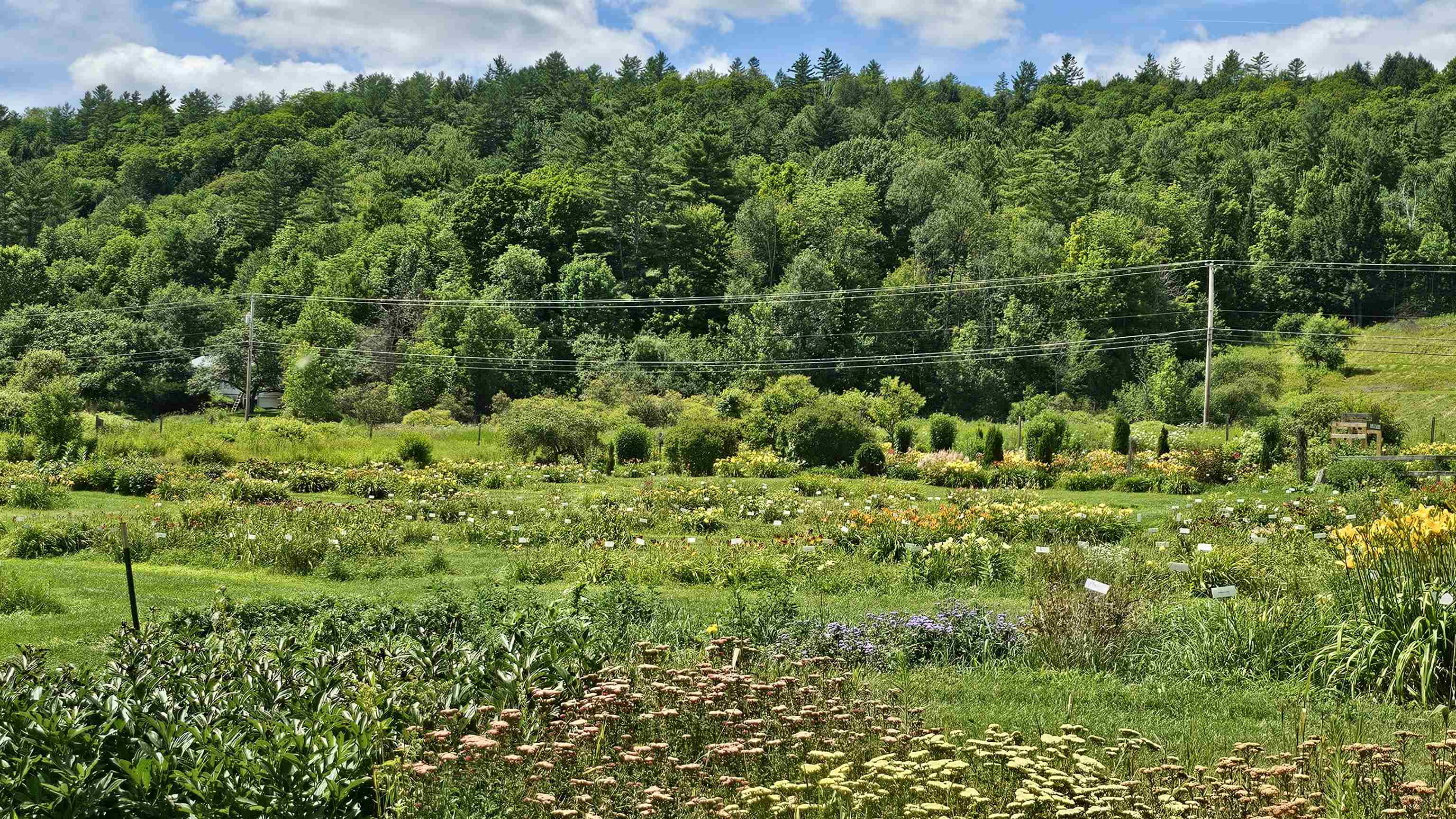 2263 Highway 2 Marshfield, VT 05658 - Photo 43 of 60