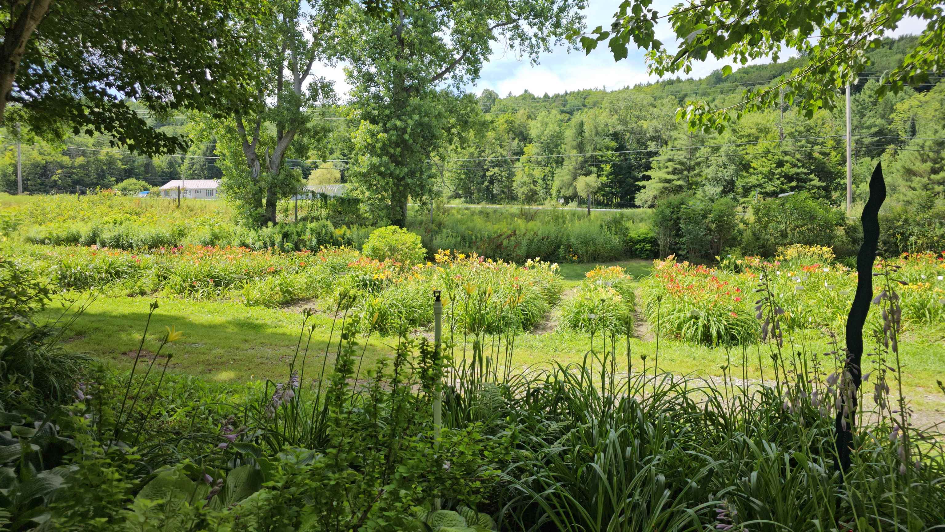 2263 Highway 2 Marshfield, VT 05658 - Photo 46 of 60