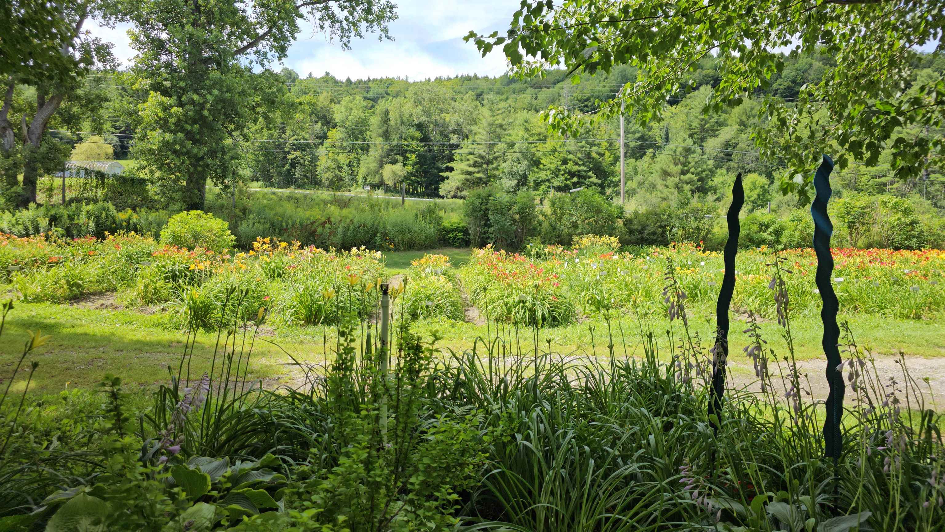 2263 Highway 2 Marshfield, VT 05658 - Photo 47 of 60