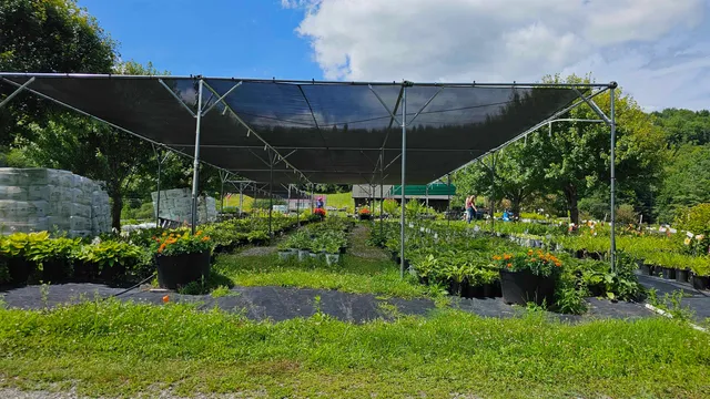 $450,000 | 2263 Highway 2, Marshfield, VT 05658