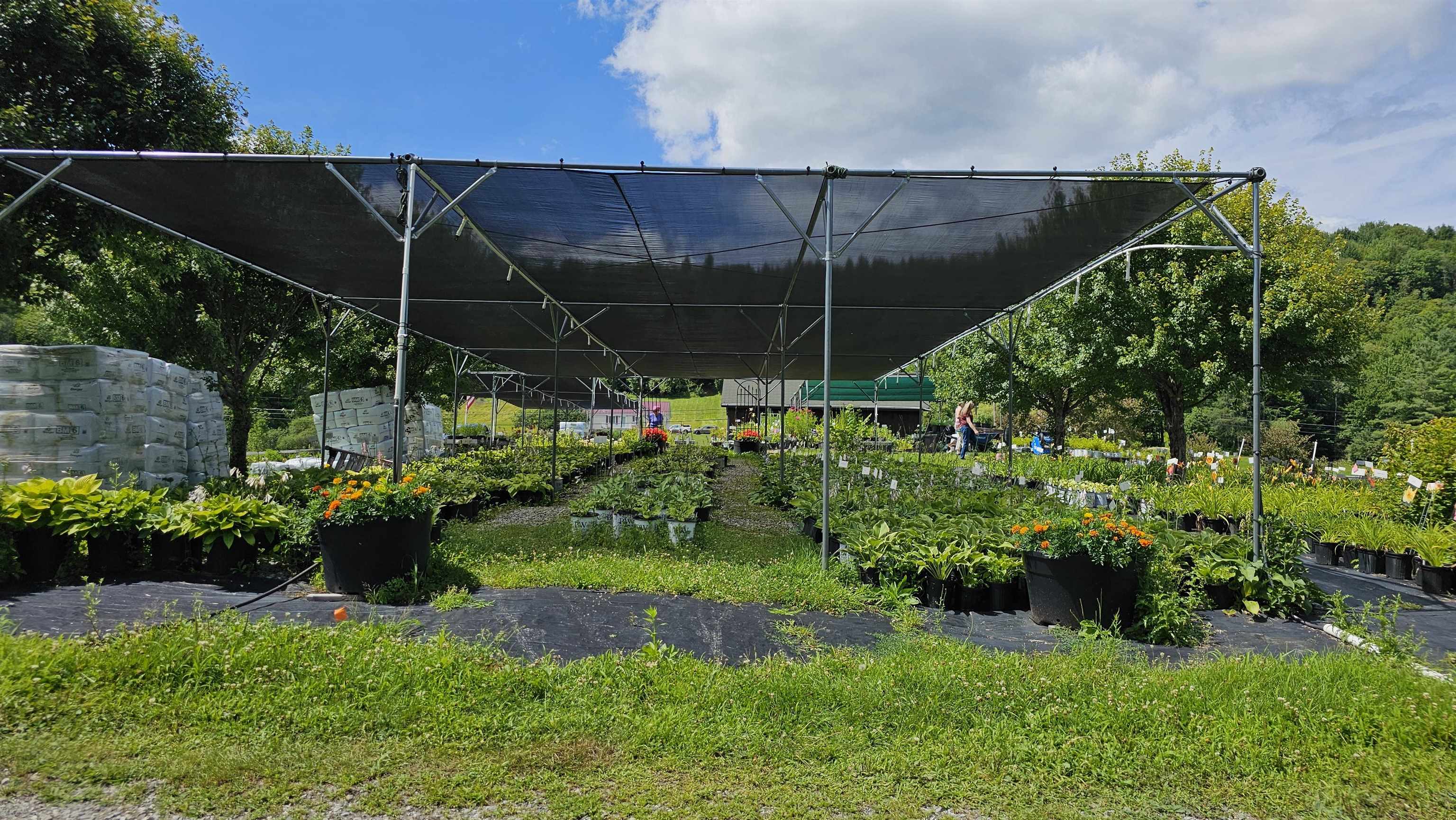 2263 Highway 2 Marshfield, VT 05658 - Photo 5 of 60