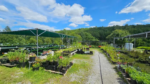 $450,000 | 2263 Highway 2, Marshfield, VT 05658