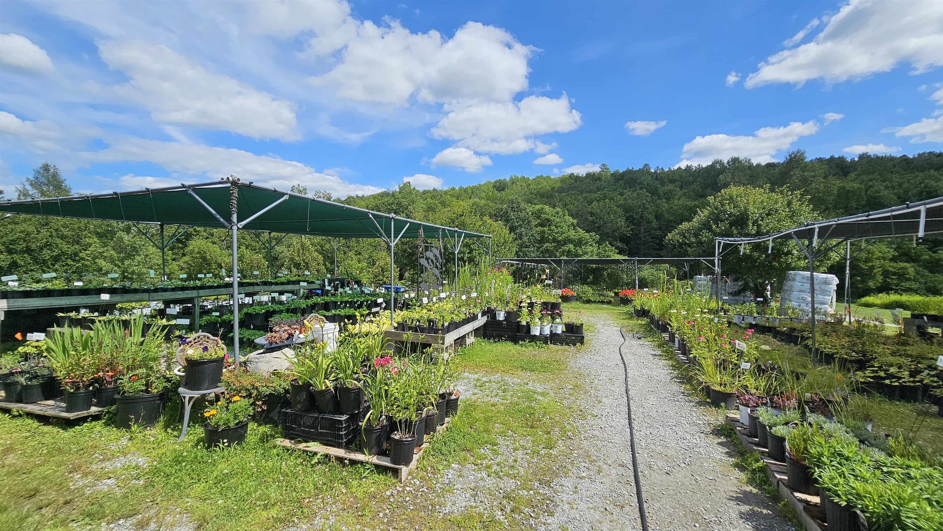 2263 Highway 2 Marshfield, VT 05658 - Photo 53 of 60