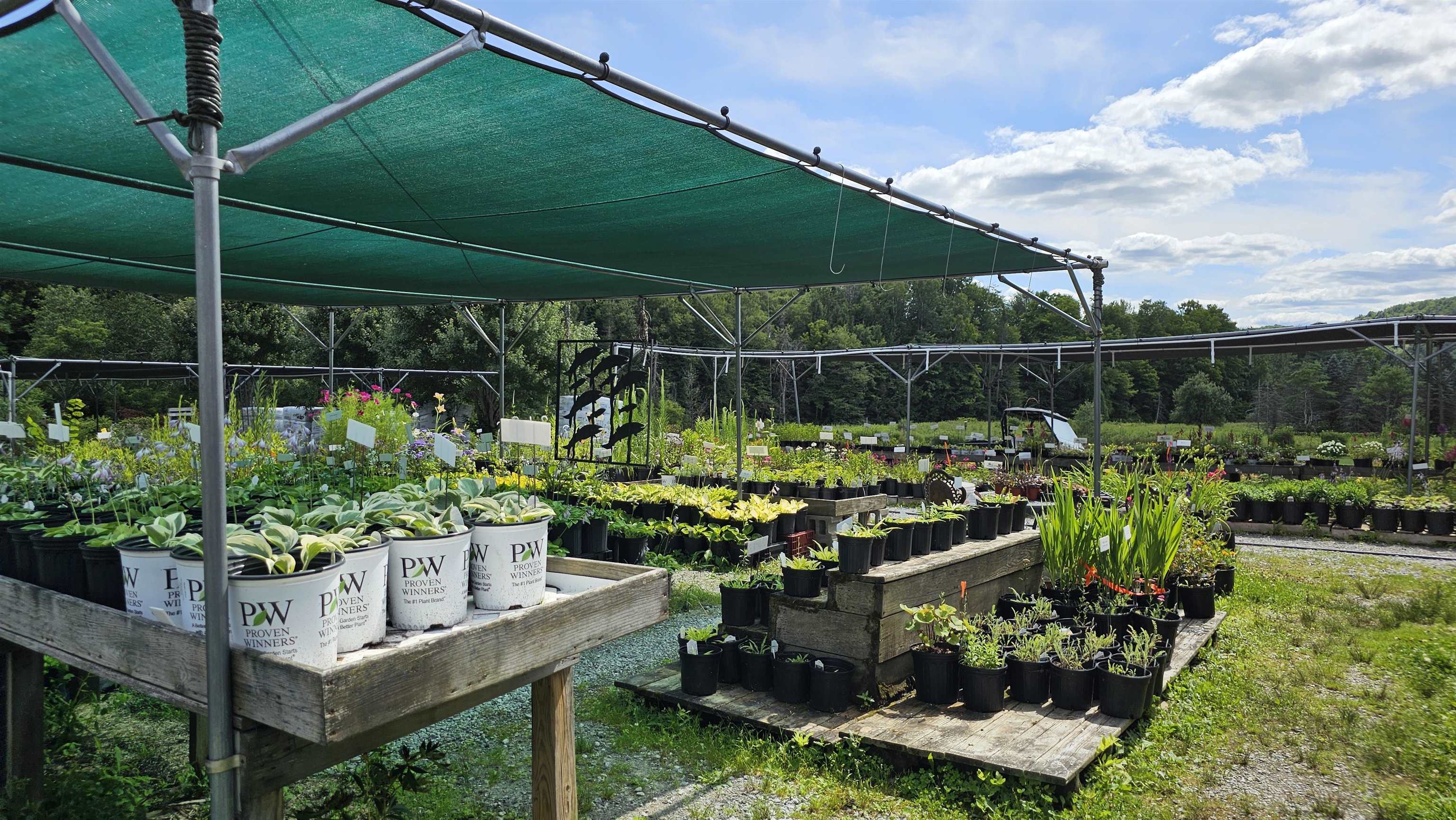 2263 Highway 2 Marshfield, VT 05658 - Photo 54 of 60