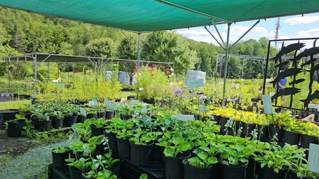 $450,000 | 2263 Highway 2, Marshfield, VT 05658