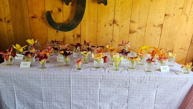 $450,000 | 2263 Highway 2, Marshfield, VT 05658