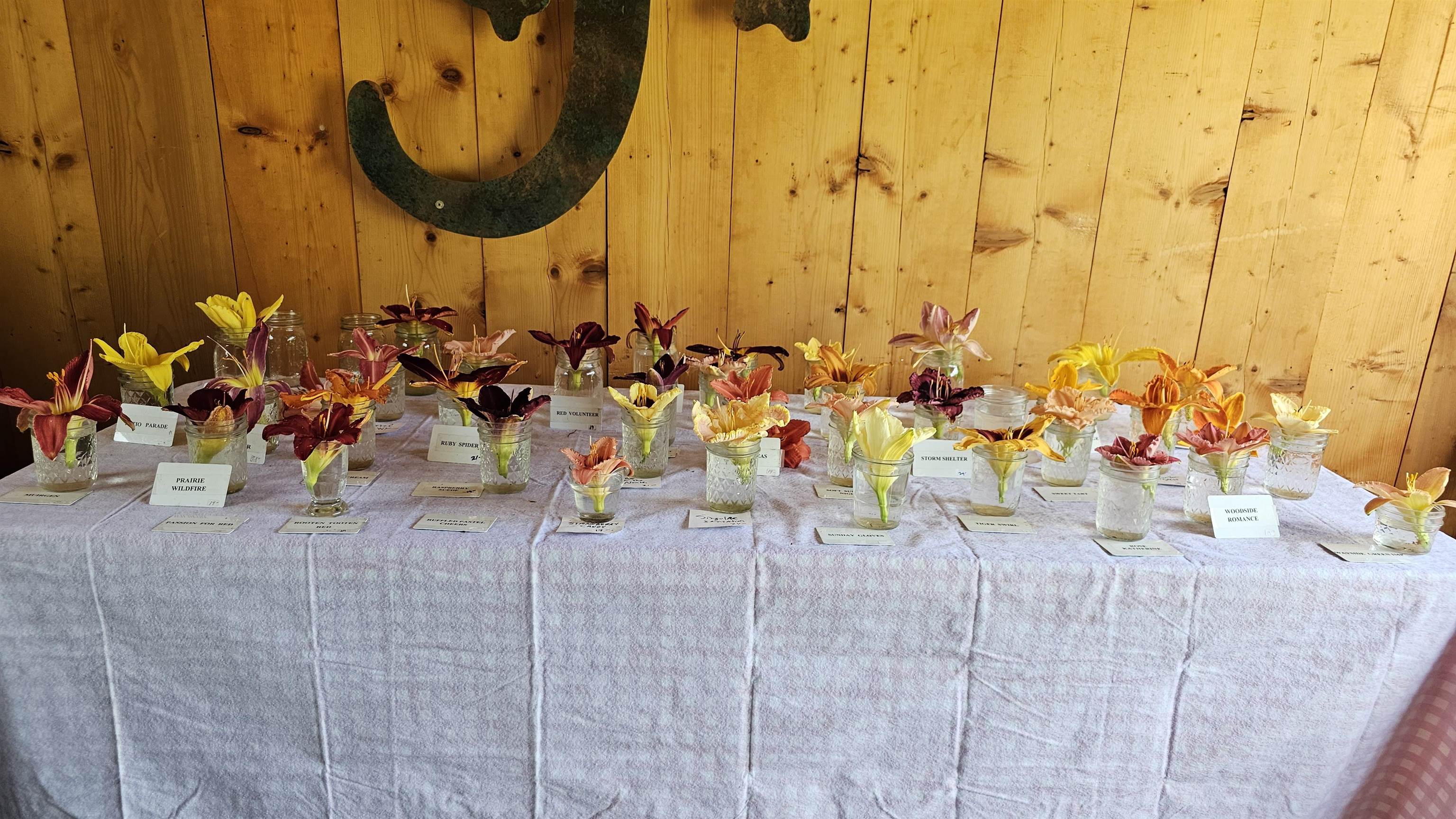 2263 Highway 2 Marshfield, VT 05658 - Photo 56 of 60